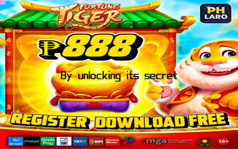 By unlocking its secrets, you’re investing in a platform that prioritizes your needs and delivers results every time